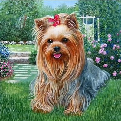 Yorkie kutyus - gyémántszemes kirakó