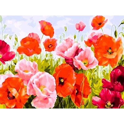 Pipacsmező - számfestő kép keretre feszítve