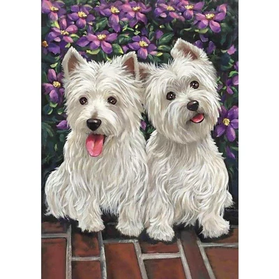 Westie kutyusok - számfestő készlet kerettel