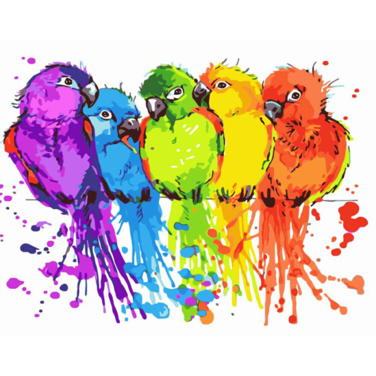 Színes papagájok az ágon - számfestő készlet
