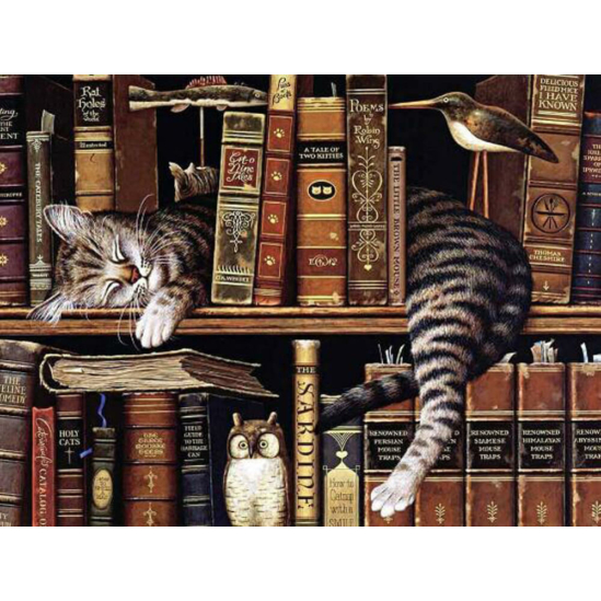 Alvó macska a könyvespolcon - gyémántszemes kirakó