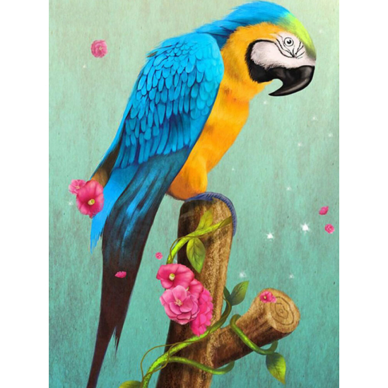 Kék-sárga papagáj virággal - gyémántszemes kirakó