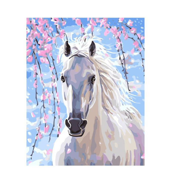 Fehér ló - számfestő készlet