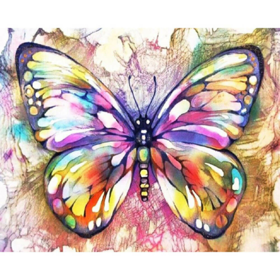 Színes pillangó - számfestő készlet