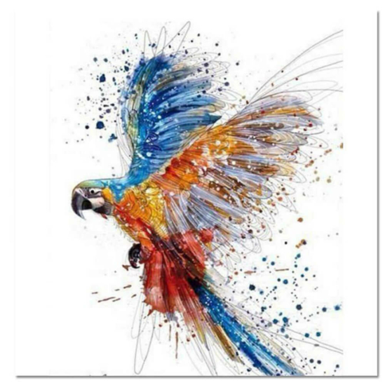 Színes papagáj - számfestő készlet