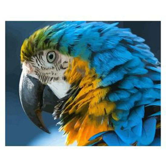 Papagájfej - számfestő készlet