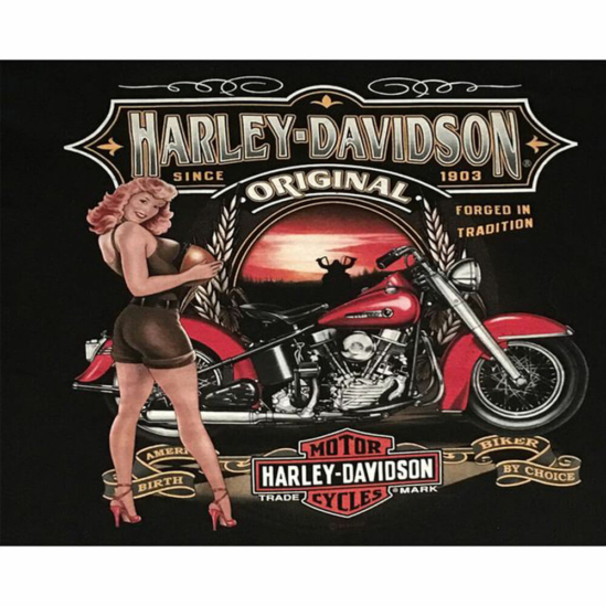 Harley - számfestő készlet