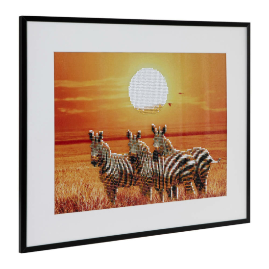 Zebrák a szavannán 40x50