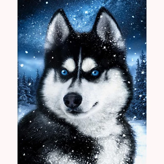 Husky kutya - gyémántszemes kirakó