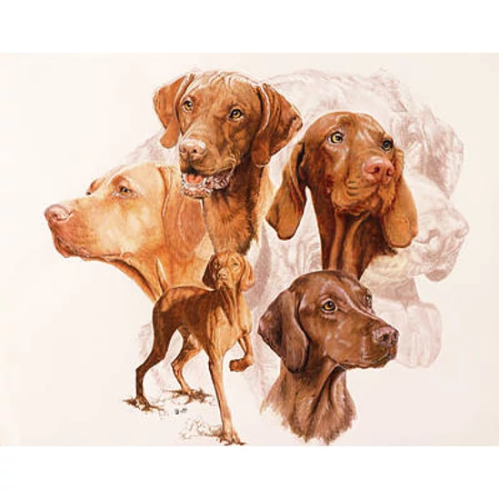 Vizsla kutya - gyémántszemes kirakó
