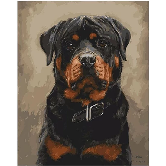 Rottweiler kutya  - gyémántszemes kirakó