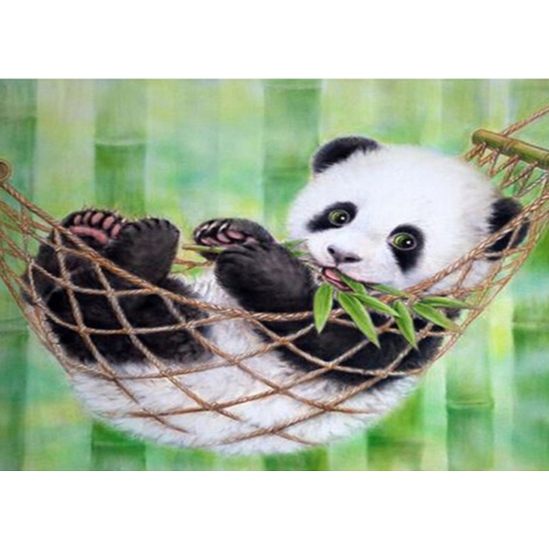 Pihenő panda - számfestő készlet kerettel