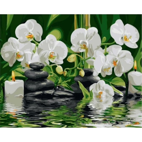 Orchideák - számfestő készlet kerettel