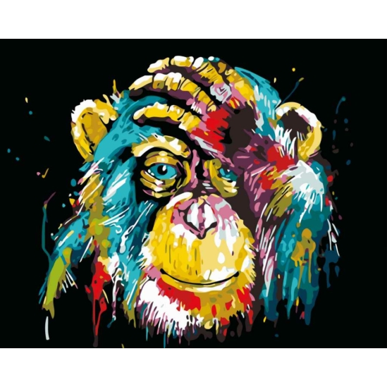 Gondolat (majom) - számfestő készlet kerettel