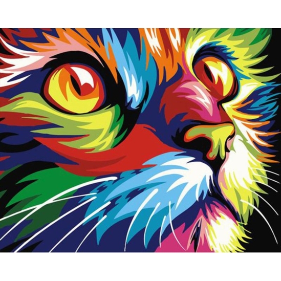 Színes macskafej - számfestő készlet kerettel