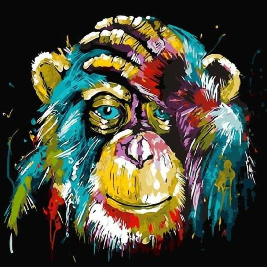 Gondolat (majom) - számfestő készlet kerettel