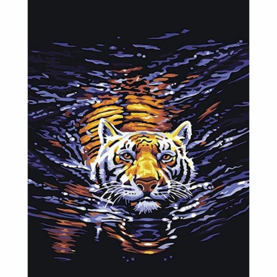 Tigris a vízben - számfestő készlet kerettel