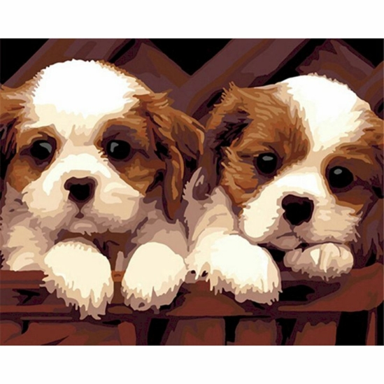 Kutykölykök - számfestő készlet kerettel