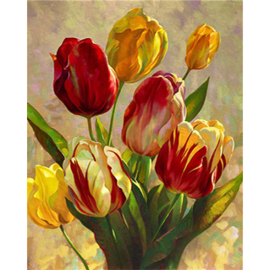 Tulipánok - számfestő készlet kerettel