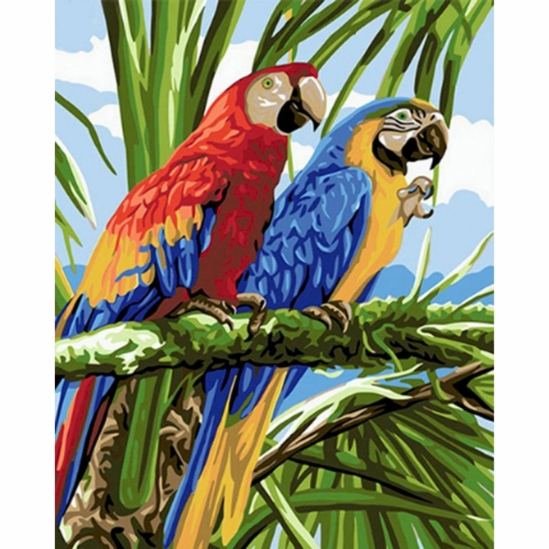 Papagájok - számfestő készlet kerettel