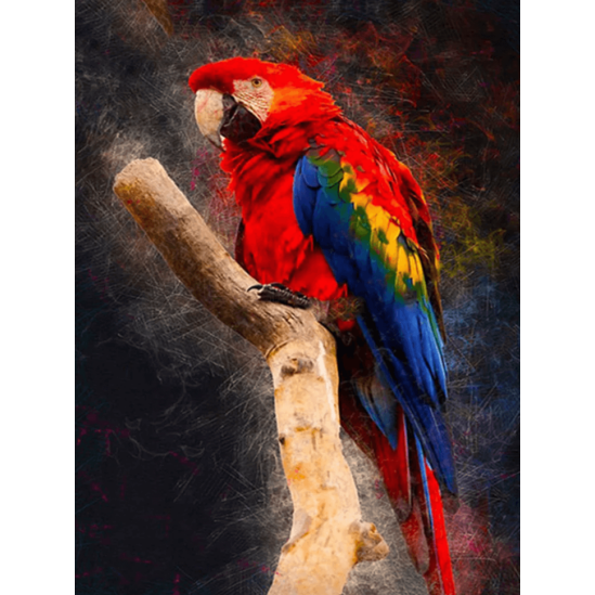 Piros papagáj - gyémántszemes kirakó